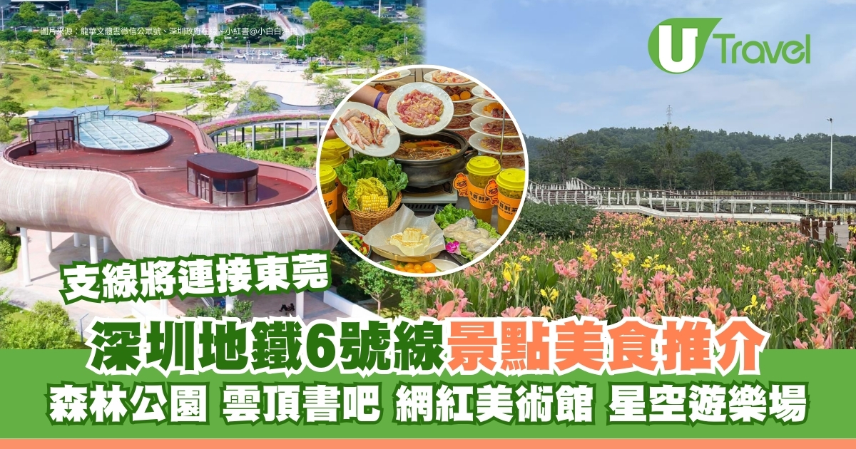 深圳地铁6号线必去景点推荐 | 美食众多，沿途游览光明区十大热门景点：森林公园、云顶书吧、网红美术馆