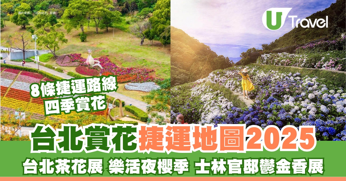 台北捷運新玩法！2025首賞花地圖揭秘！追花路線全攻略附贈iPhone盛大送！