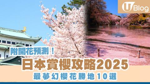 日本赏樱攻略2025：最梦幻樱花胜地10选 附最新开花预测!