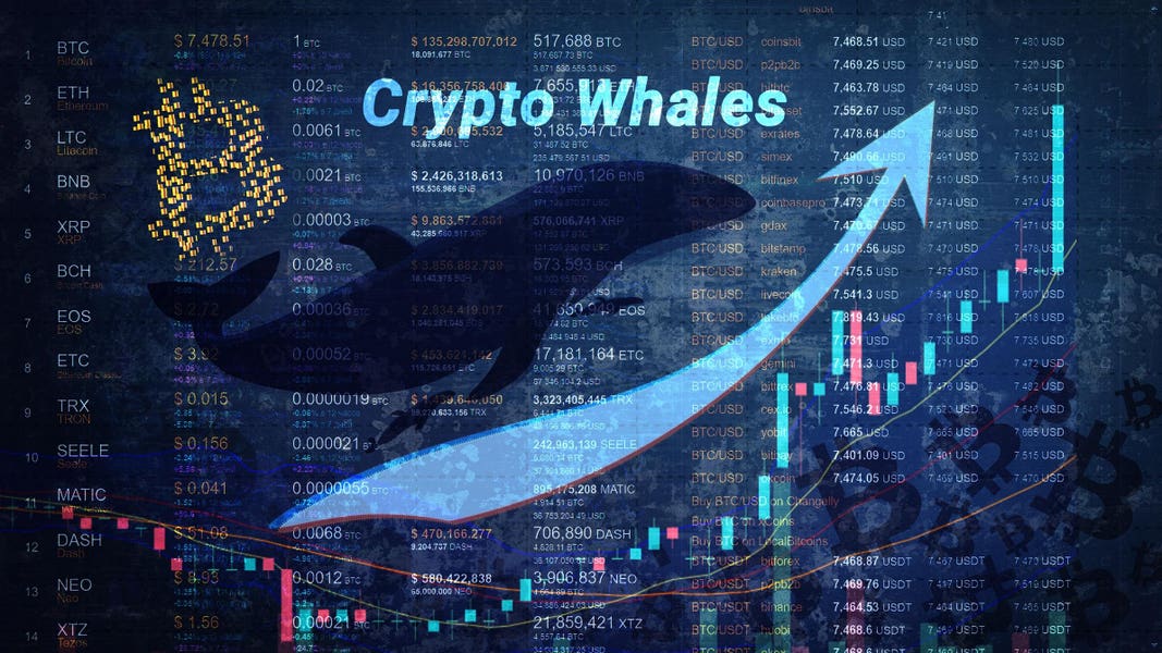 20250304010823558.