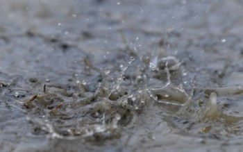 即将来临的暴雨