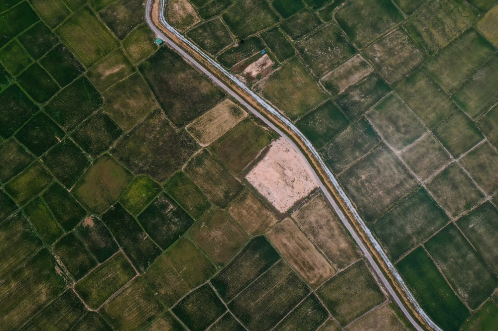 20250424174741584.